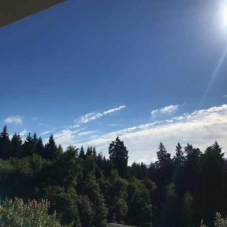 Hahnenklee Ferienpark 1-411 Γκόσλαρ Εξωτερικό φωτογραφία