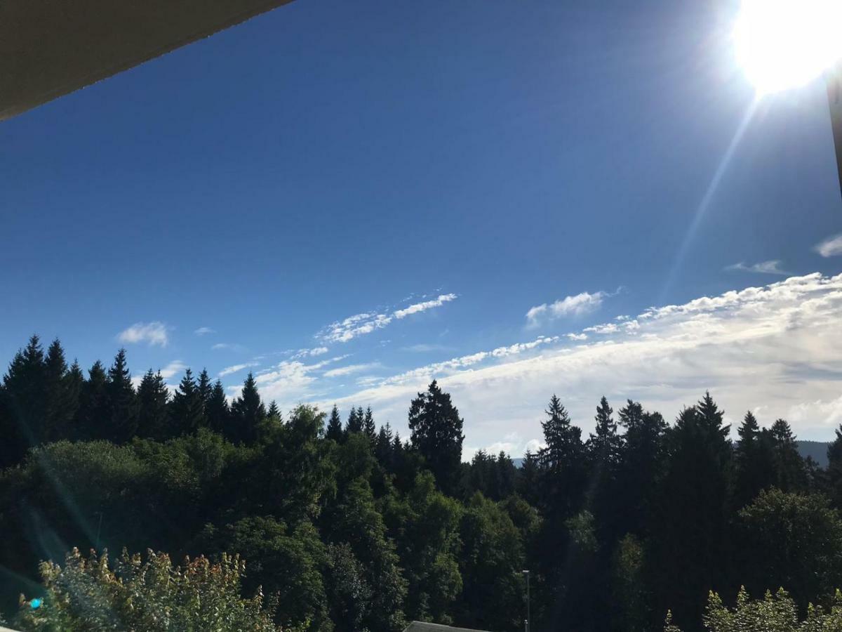 Hahnenklee Ferienpark 1-411 Γκόσλαρ Εξωτερικό φωτογραφία