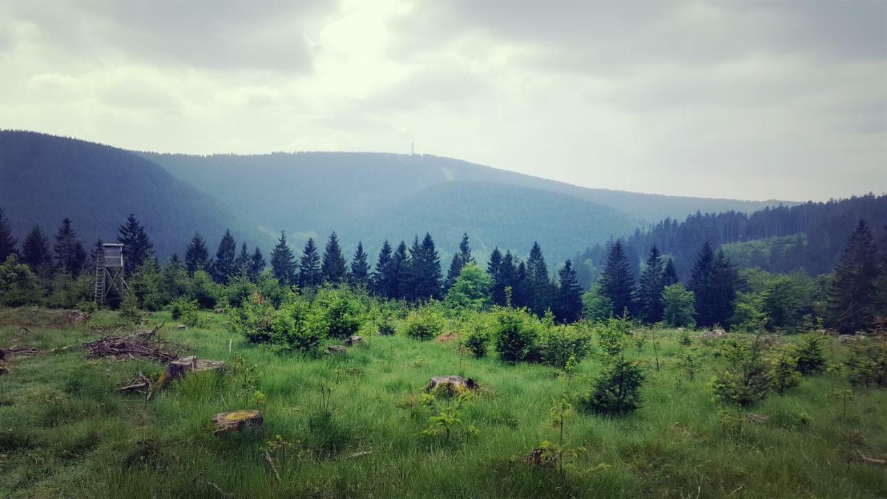 Hahnenklee Ferienpark 1-411 Γκόσλαρ Εξωτερικό φωτογραφία