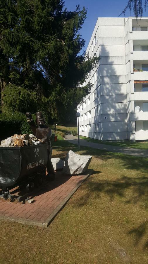 Hahnenklee Ferienpark 1-411 Γκόσλαρ Εξωτερικό φωτογραφία
