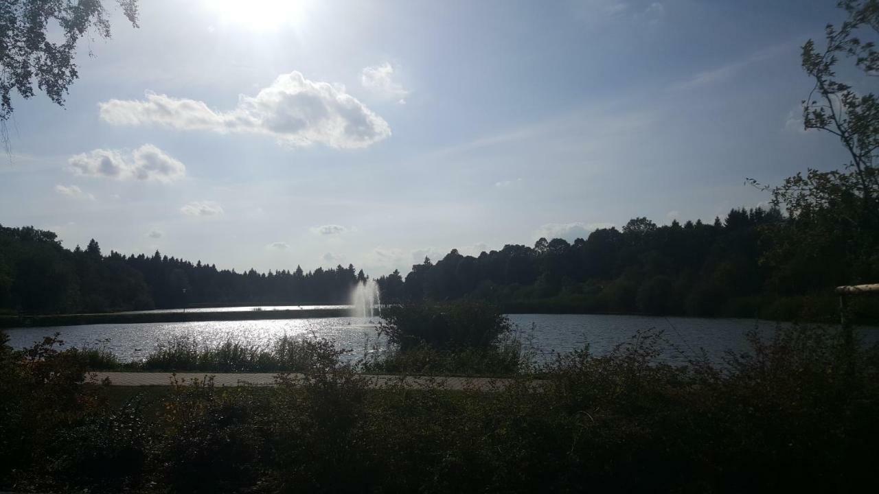 Hahnenklee Ferienpark 1-411 Γκόσλαρ Εξωτερικό φωτογραφία