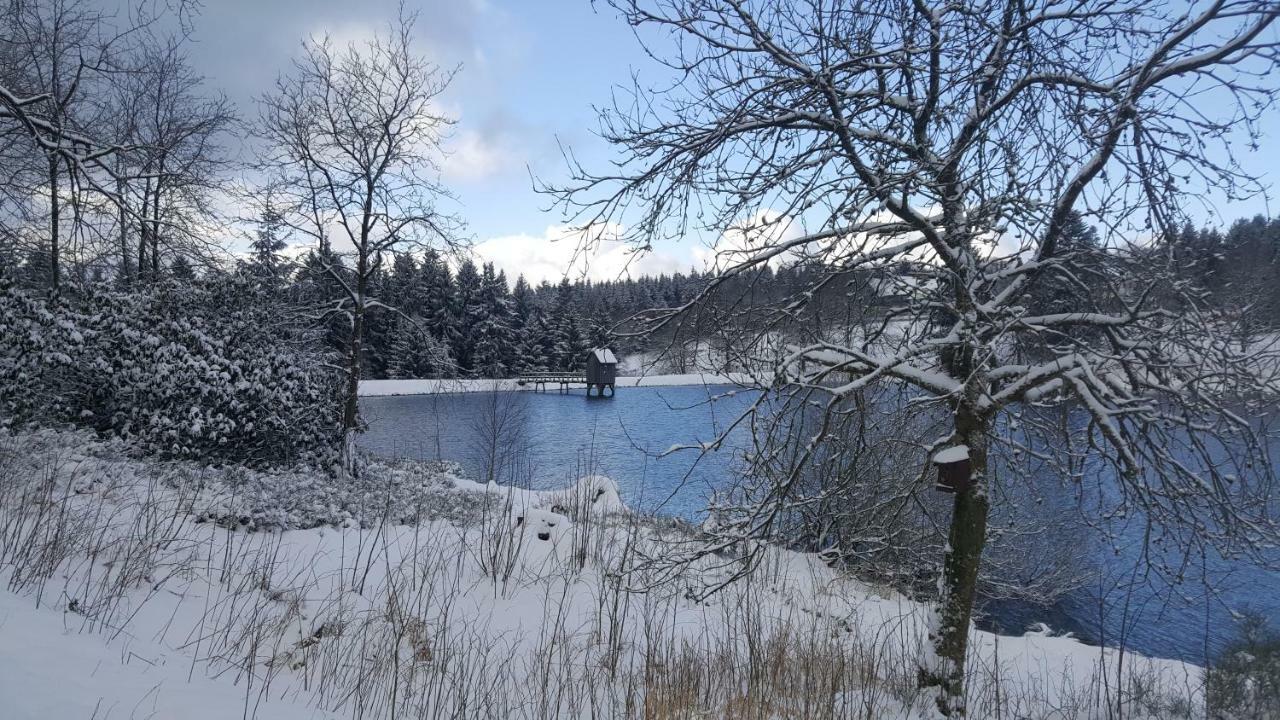 Hahnenklee Ferienpark 1-411 Γκόσλαρ Εξωτερικό φωτογραφία